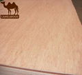 Hot sales high quality commercial plywood for decoration 2