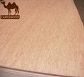 Hot sales high quality commercial plywood for decoration