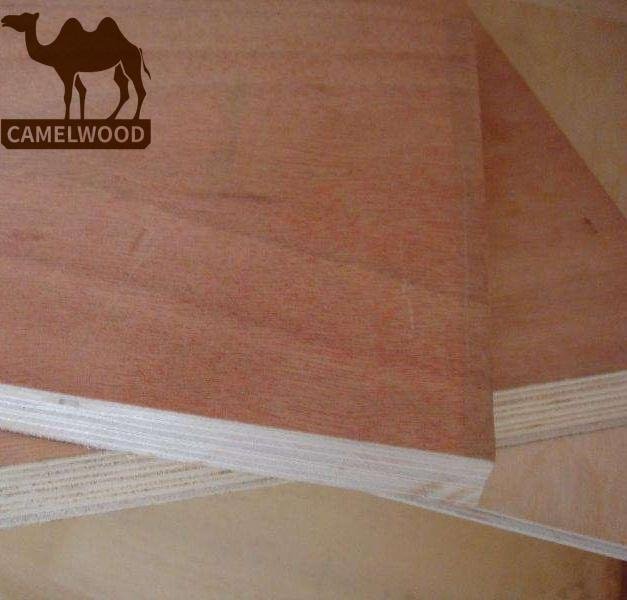 Hot sales high quality commercial plywood for decoration 3