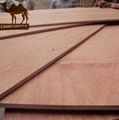 Hot sales high quality commercial plywood for decoration 4