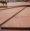 Hot sales high quality commercial plywood for decoration