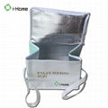 Non-Woven cooler Bag 1