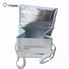 Non-Woven cooler Bag