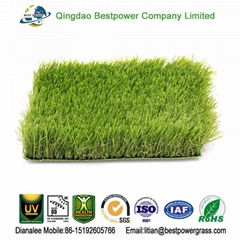 Artificial Grass 