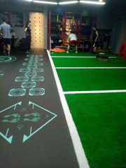 grassturf for gym