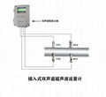 大连海峰TDS-100插入式双声道超声波流量计 1