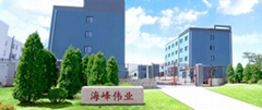 大连海峰伟业仪器有限公司