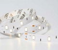 3528 Series LED Strips