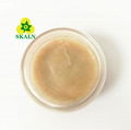 SKALN high temperature food grade grease 1