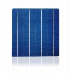  156mm Poly Crystalline Solar Cells 