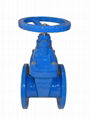 Resilient Seat Gate Valve 2