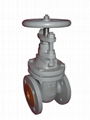 Metal Seat Gate Valve 1