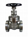 Din Cast Steel Gate Valve