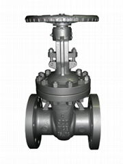 DIN/API Cast Steel Check Valve