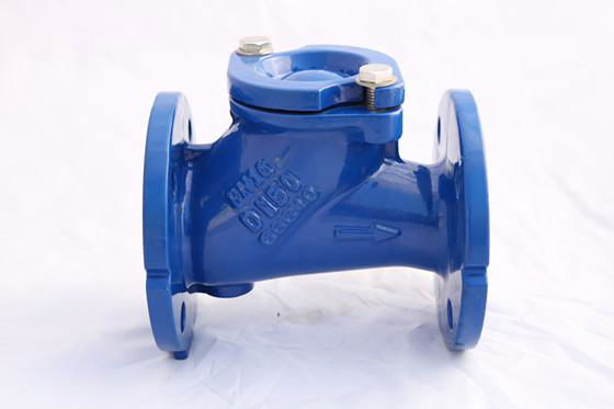 Cast Iron Check Valve