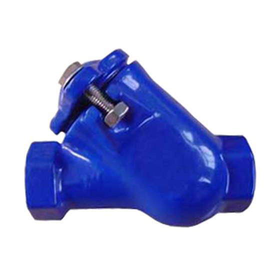 Cast Iron Check Valve 2