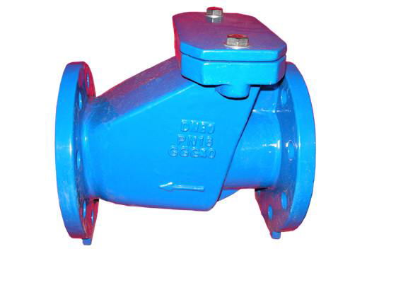 Cast Iron Check Valve 3