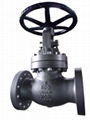 API/EN Cast Steel Globe Valve 4