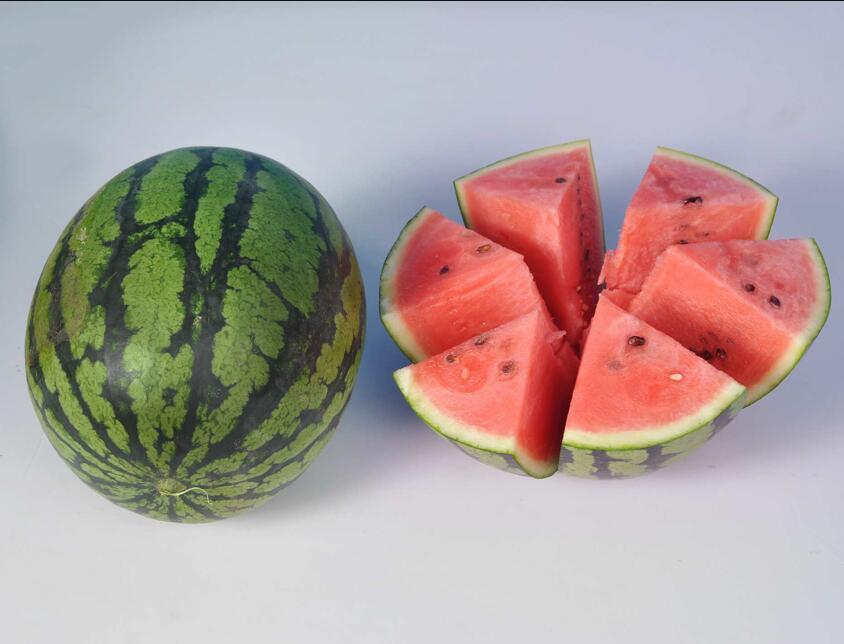 Chinese fresh fruit watermelon supplier and exporter xing017 xing