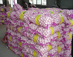 Chinese garlic supplier and exporter