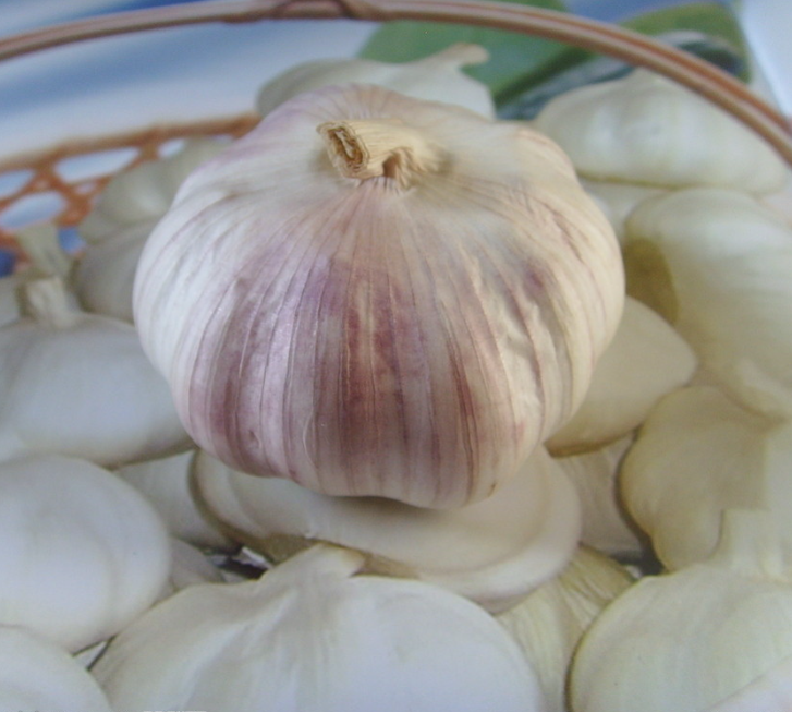 Chinese garlic supplier and exporter  3