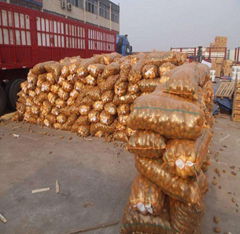 the vegetable potatoes supplier and exporter from China