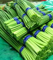 Chinese garlic stems supplier and exporter 1
