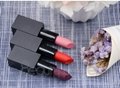 Best selling cosmetics tube organic vegan matte private label lipstick