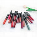 Private Label Matte Longlasting Lipstick Multicolor Manufacturers with Your Own  2