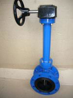 Double flanged butterfly valve