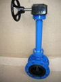 Double flanged butterfly valve 1