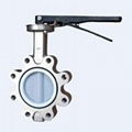 Lug type butterfly valve