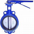 Wafer type butterfly valve