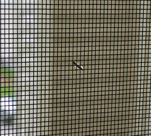 fiberglass insect screen 4