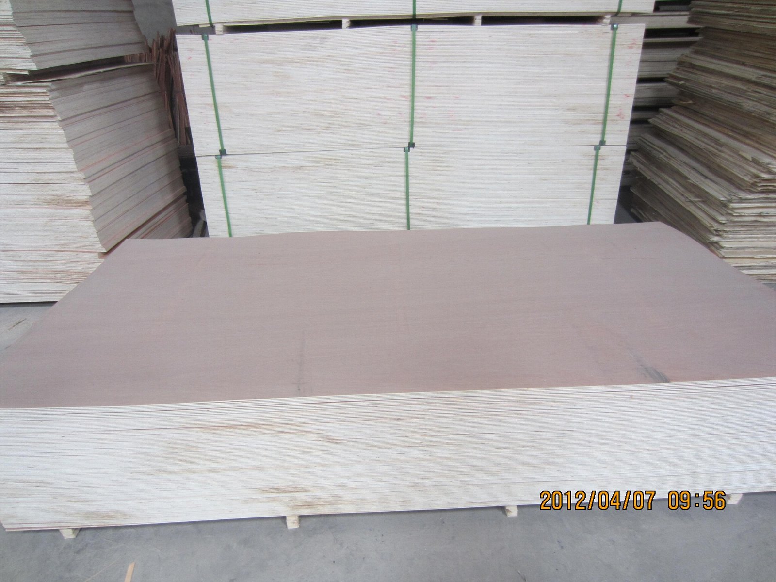 廠家供應桉木芯普通多層板12mm膠合板五合板