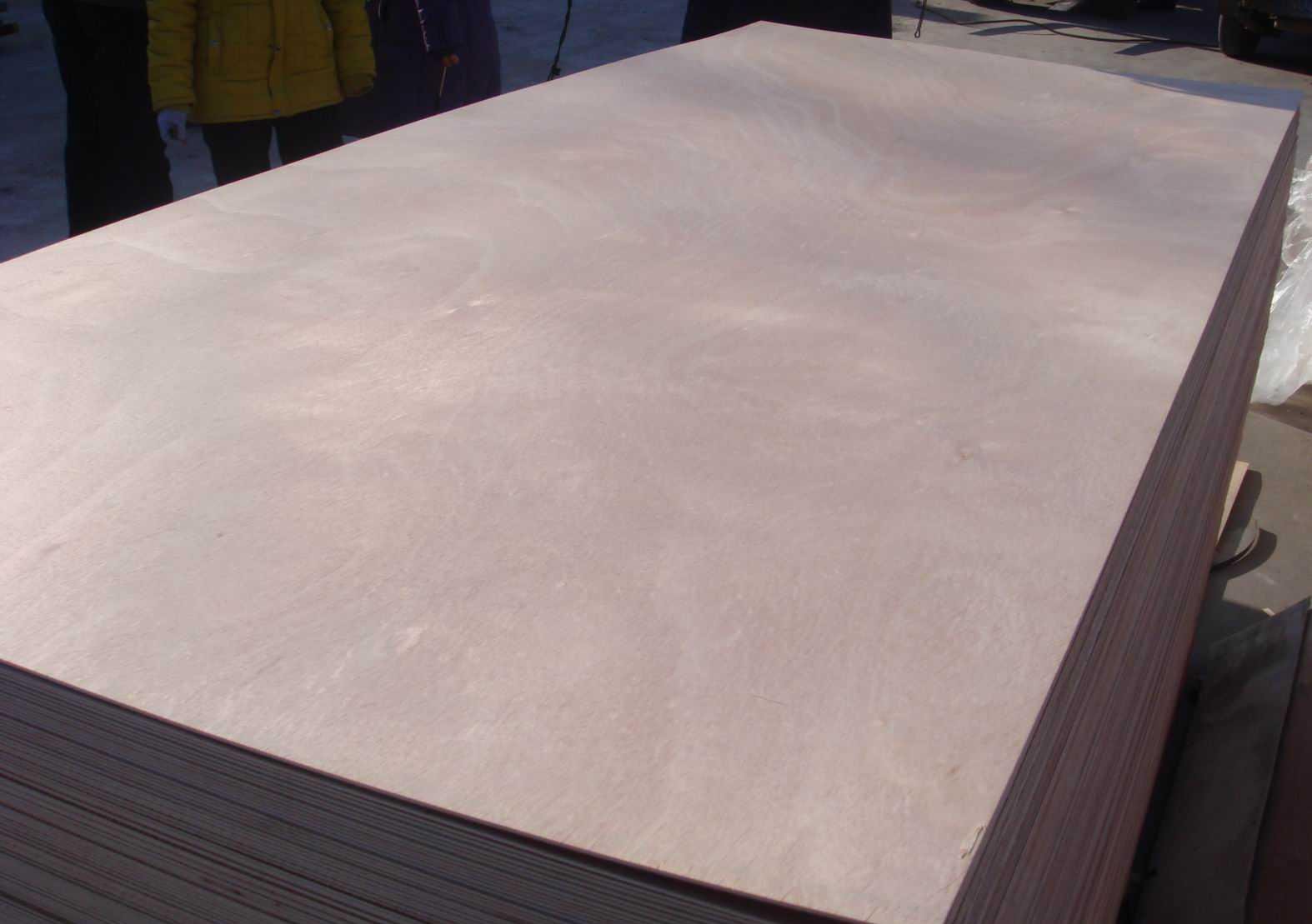 各種規格E0級楊木傢具板包裝箱板托盤板膠合板 5
