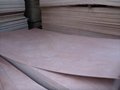 厂家批发桃花芯家具板桉木家具板可定制全国直销 4