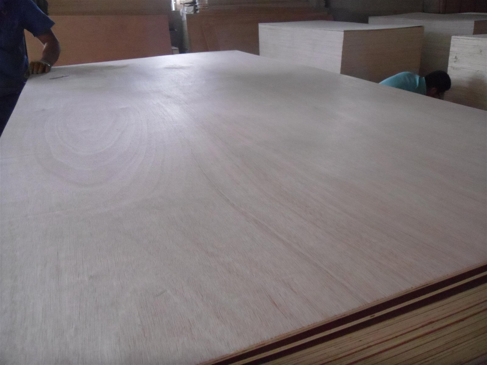 廠家批發桃花芯傢具板桉木傢具板可定製全國直銷