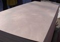 超平家具板贴面家具板杨木包装箱板异形板 5