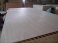 桃花芯面家具板贴科技木胶合板标准板材 4