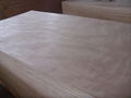 桃花芯面家具板贴科技木胶合板标准板材 3