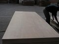 杨木芯家具板多层板托盘板异形板包装箱板