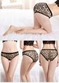 Front Lace Transparent Sexy Ladys Underwear Womens Panties 5
