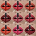 Matte Liquid Lipstick Face Makeup Products Waterproof Fashion Colors For Lips 1