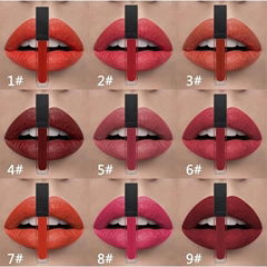 Matte Liquid Lipstick Face Makeup Products Waterproof Fashion Colors For Lips