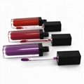 Matte Liquid Lipstick Face Makeup Products Waterproof Fashion Colors For Lips 3