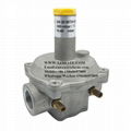 natural gas regulator