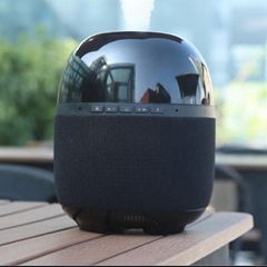 Humidifier speaker with smart humidifying and Hifi effect