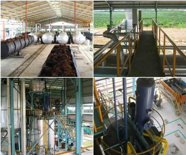 Palm Oil Mill Plant 