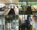 Palm Oil Mill Plant  1